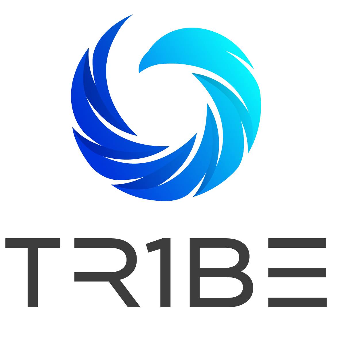 logo tr1be.eklektike